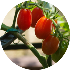 感謝のことば「庭仕事編」